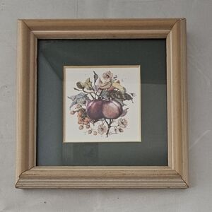 Framed Fruit Art Print